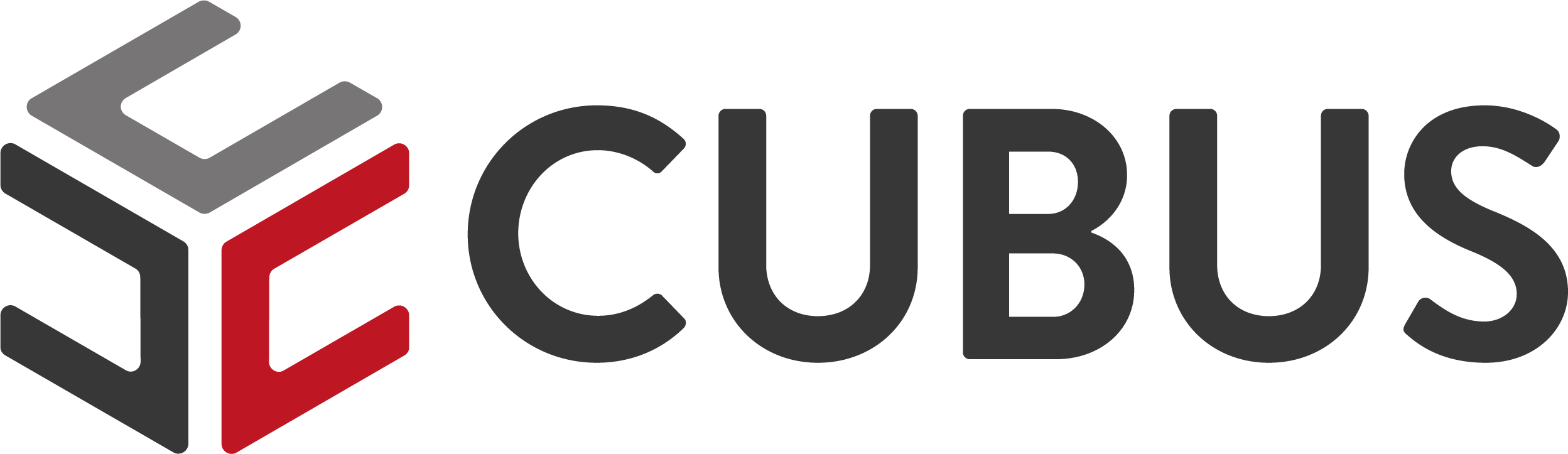 Sponsor_CUBUS Immobilien